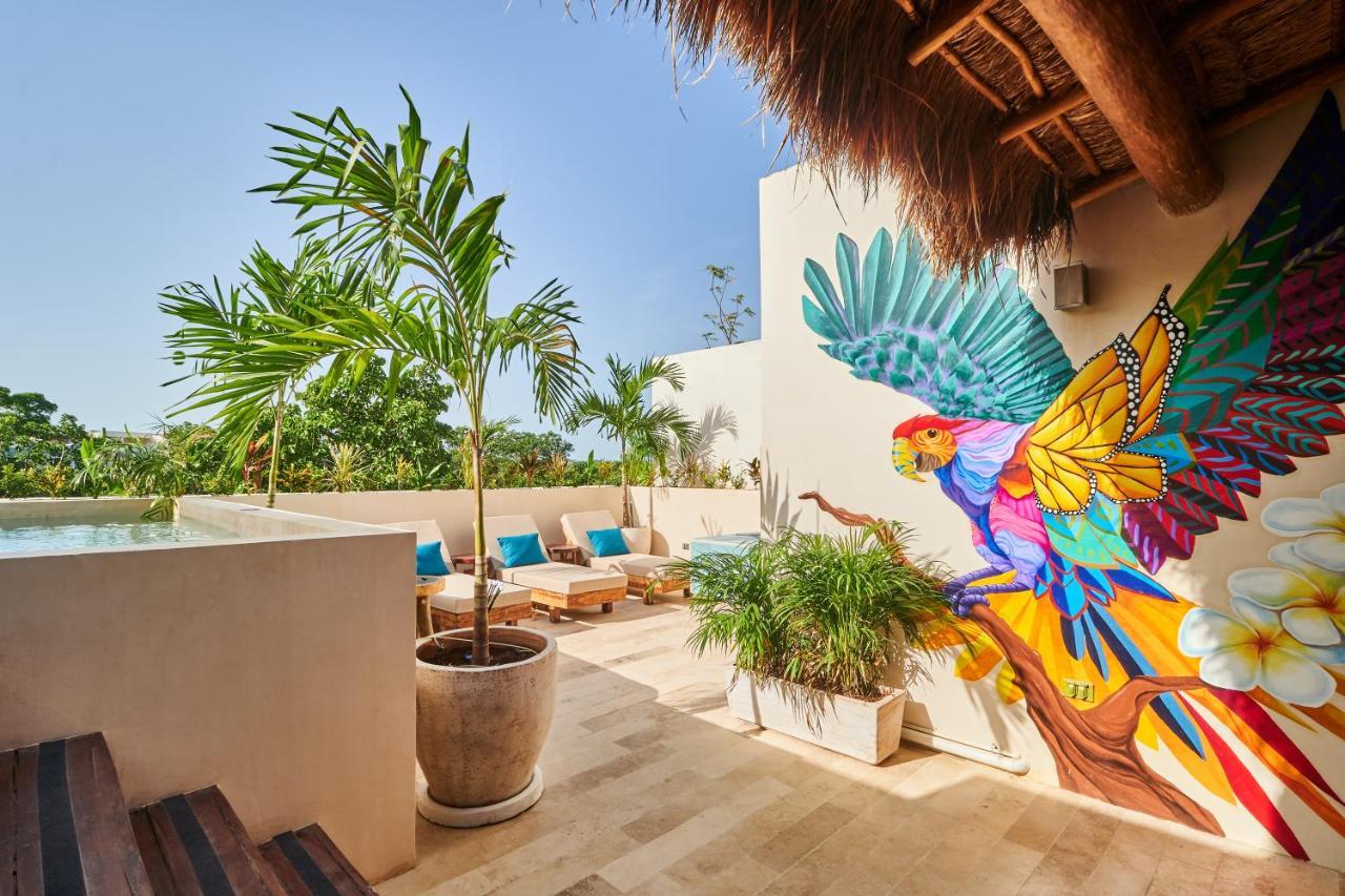 Spacious & Comfy Penthouse Oasis With Plunge Pool Apartment Tulum