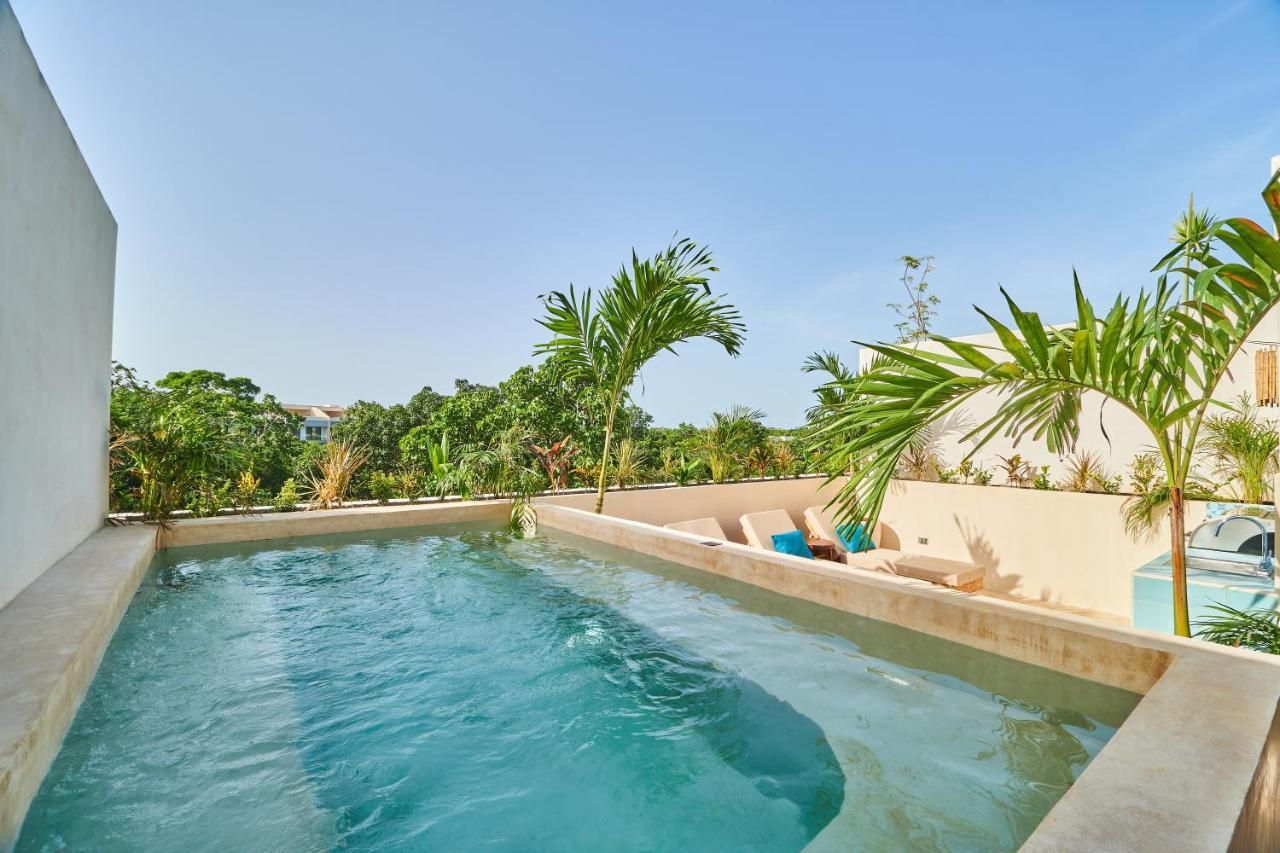 Apartment Spacious & Comfy Penthouse Oasis With Plunge Pool *