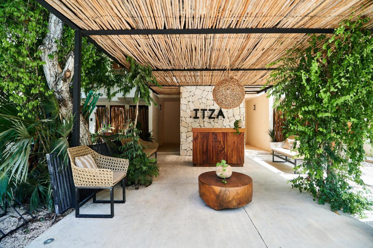 Apartment Spacious & Comfy Penthouse Oasis With Plunge Pool