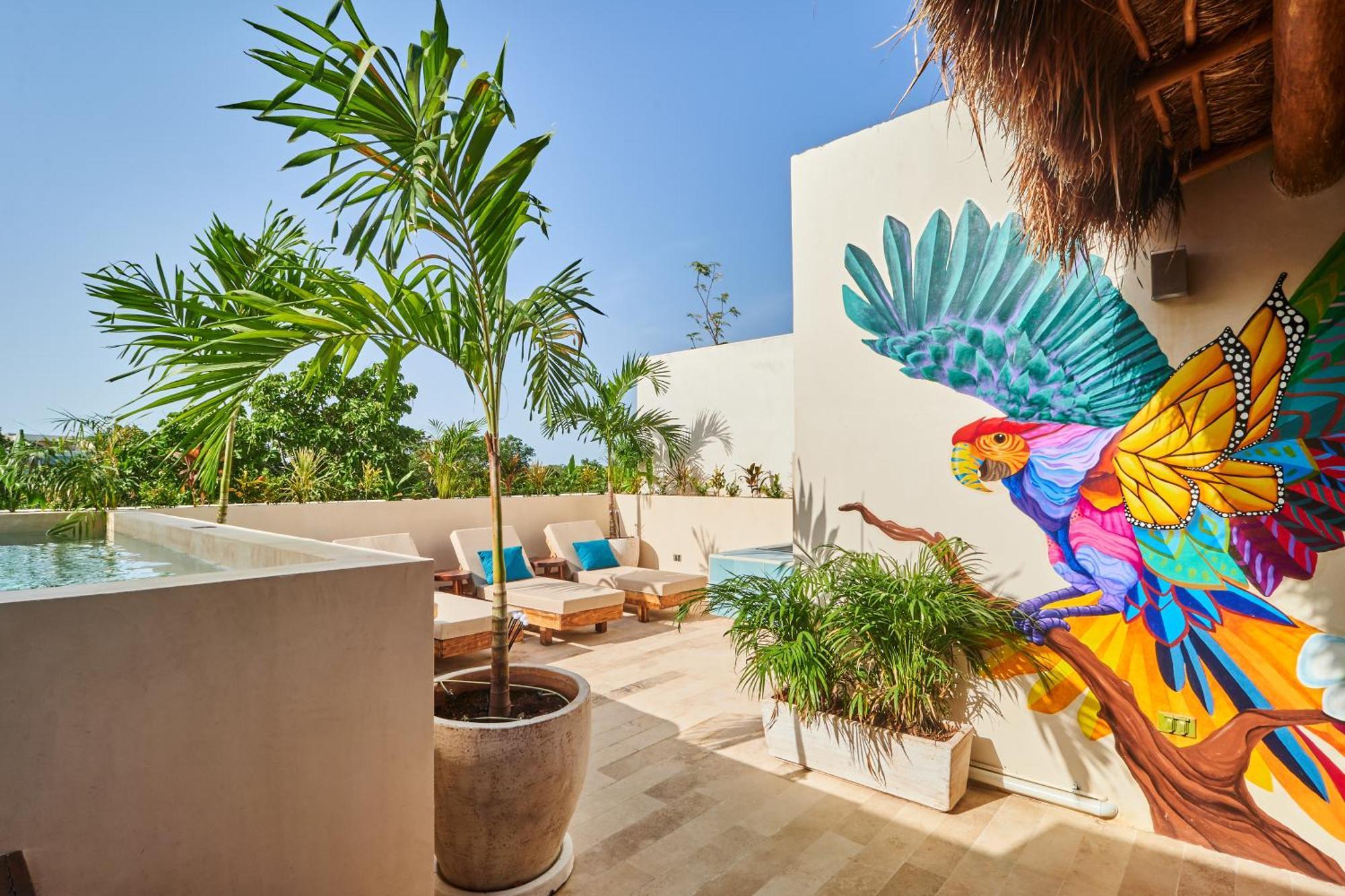 Spacious & Comfy Penthouse Oasis With Plunge Pool