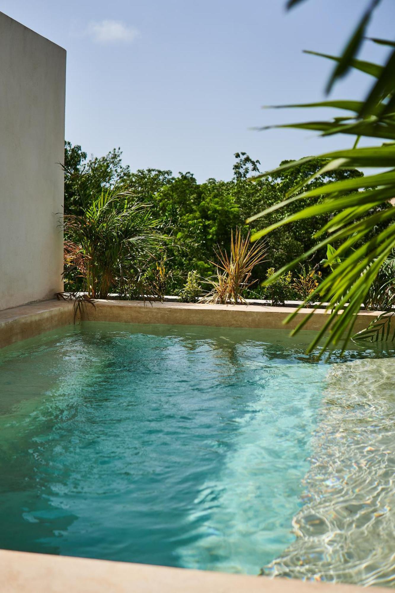 Apartment Spacious & Comfy Penthouse Oasis With Plunge Pool